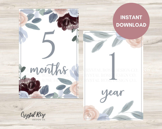 Dusty Blue and Pink Baby Milestone Cards, Printable Baby Milestone Cards, Newborn Baby Milestones - Crystal Rose Design Co.