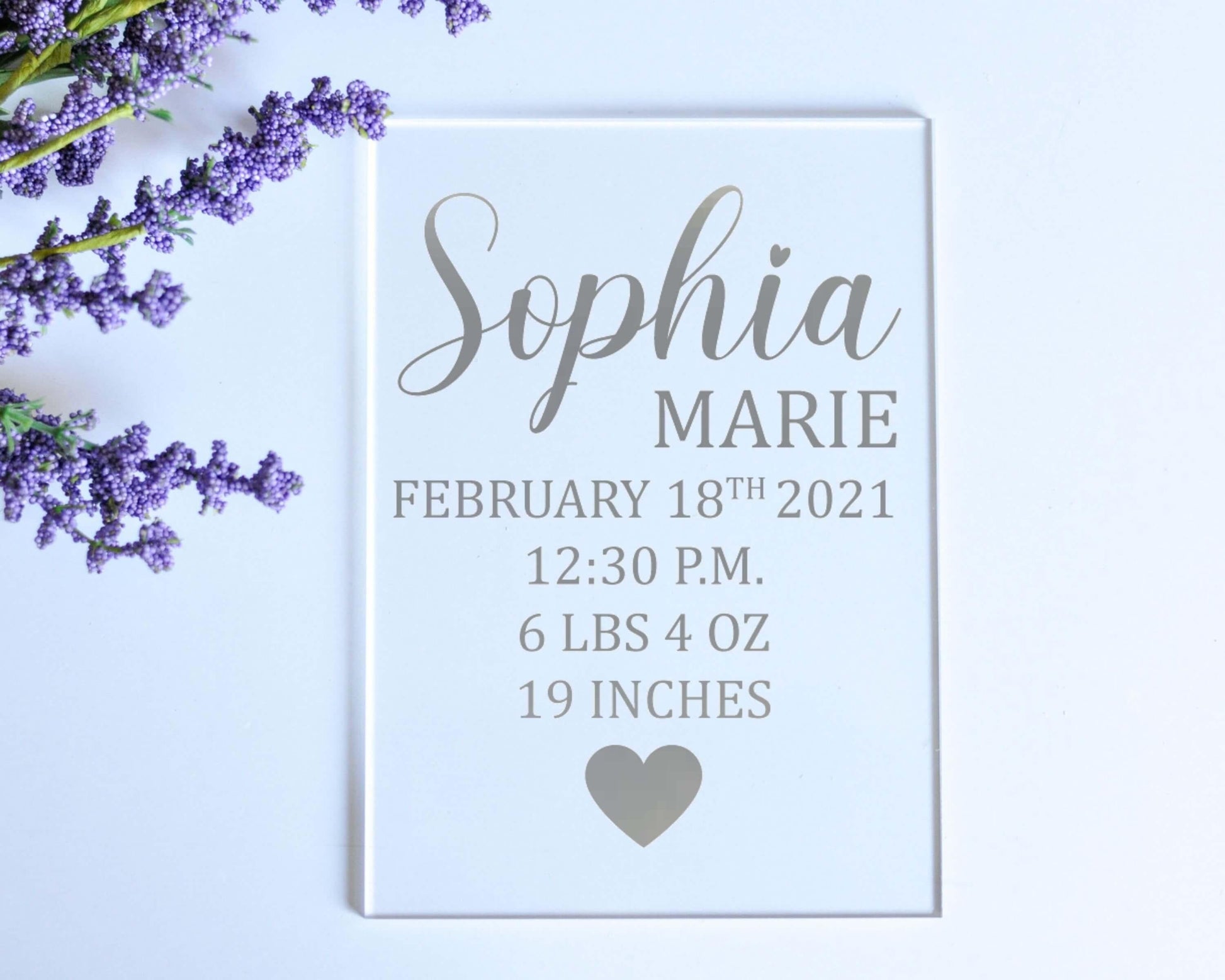 Baby Birth Stats Acrylic Sign | Personalized Birth Announcement - Crystal Rose Design Co.
