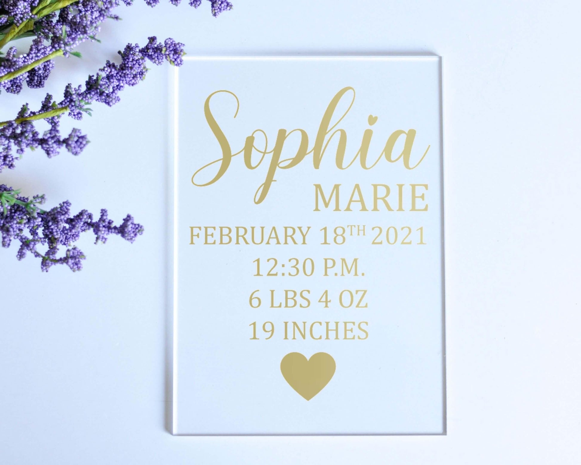 Baby Birth Stats Acrylic Sign | Personalized Birth Announcement - Crystal Rose Design Co.